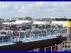 vikend-v-rotterdam-geulhaven